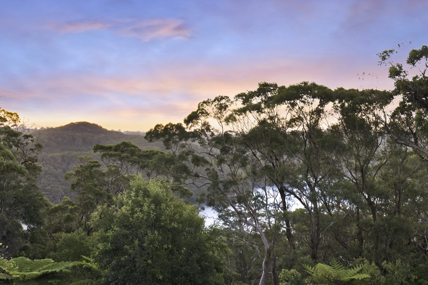 Additional image 2 of 12 Boronia Lane, Seaforth NSW 2092