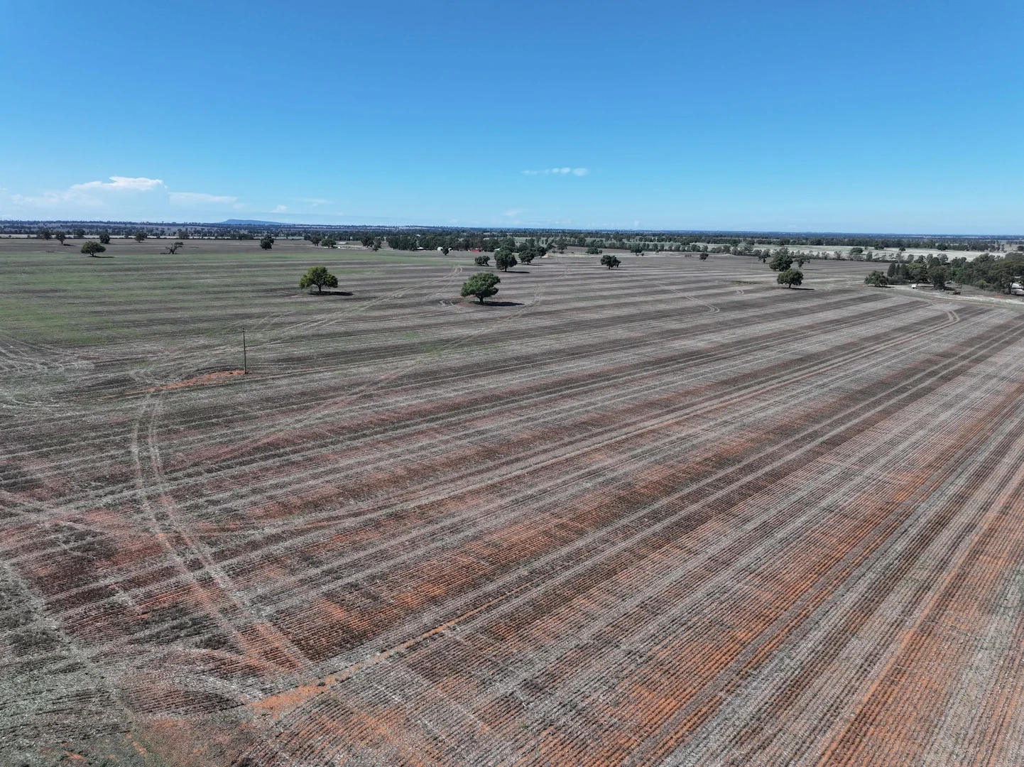 Additional image 19 of Shannonvale & Elmore Strontian Road, Boree Creek NSW 2652