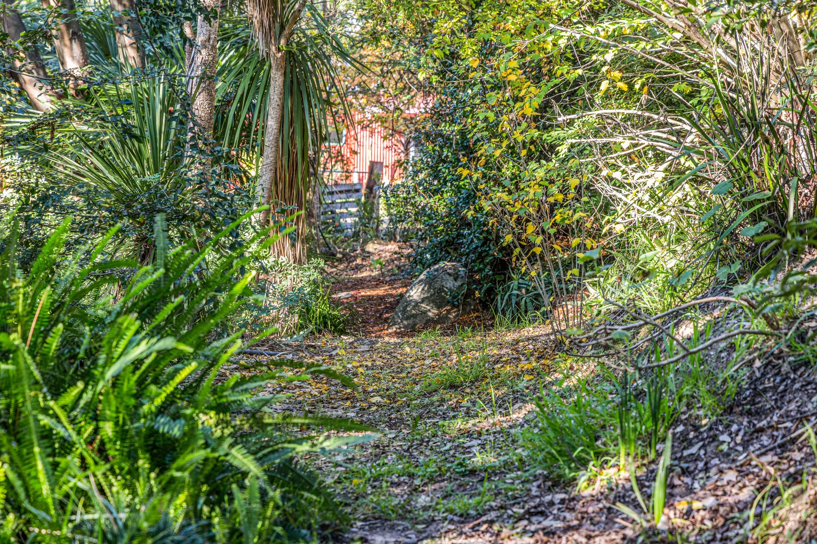 Additional image 23 of 59 Avernus Street, Cobargo NSW 2550