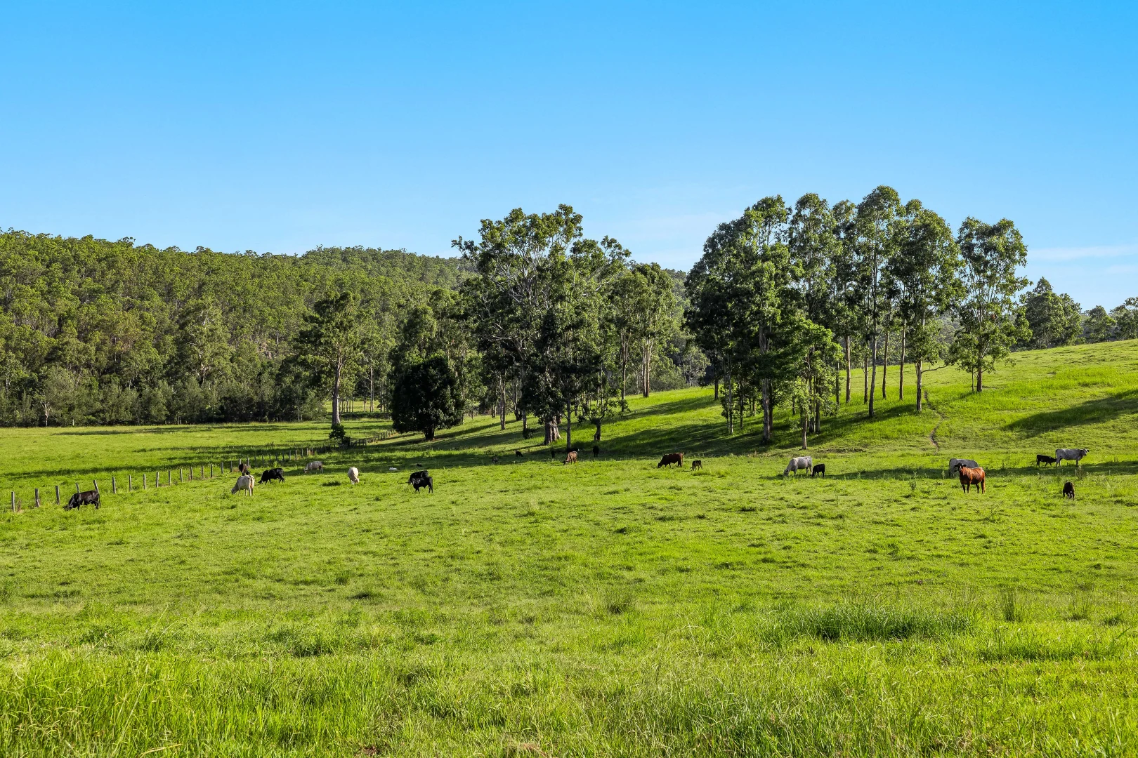 Additional image 25 of 6 Hiscockes Road, Theresa Creek NSW 2469