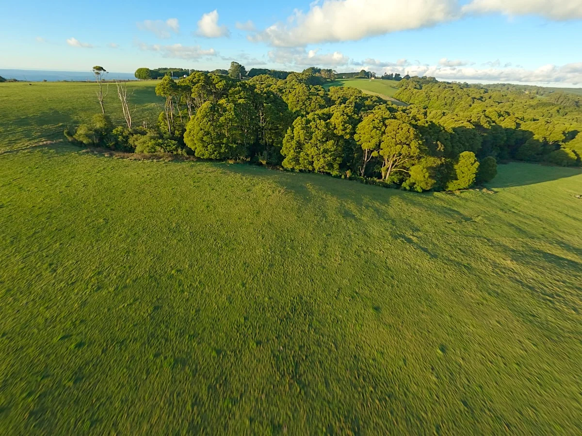 Additional image 15 of 125 Beech Forest - Lavers Hill Road, Beech Forest VIC 3237