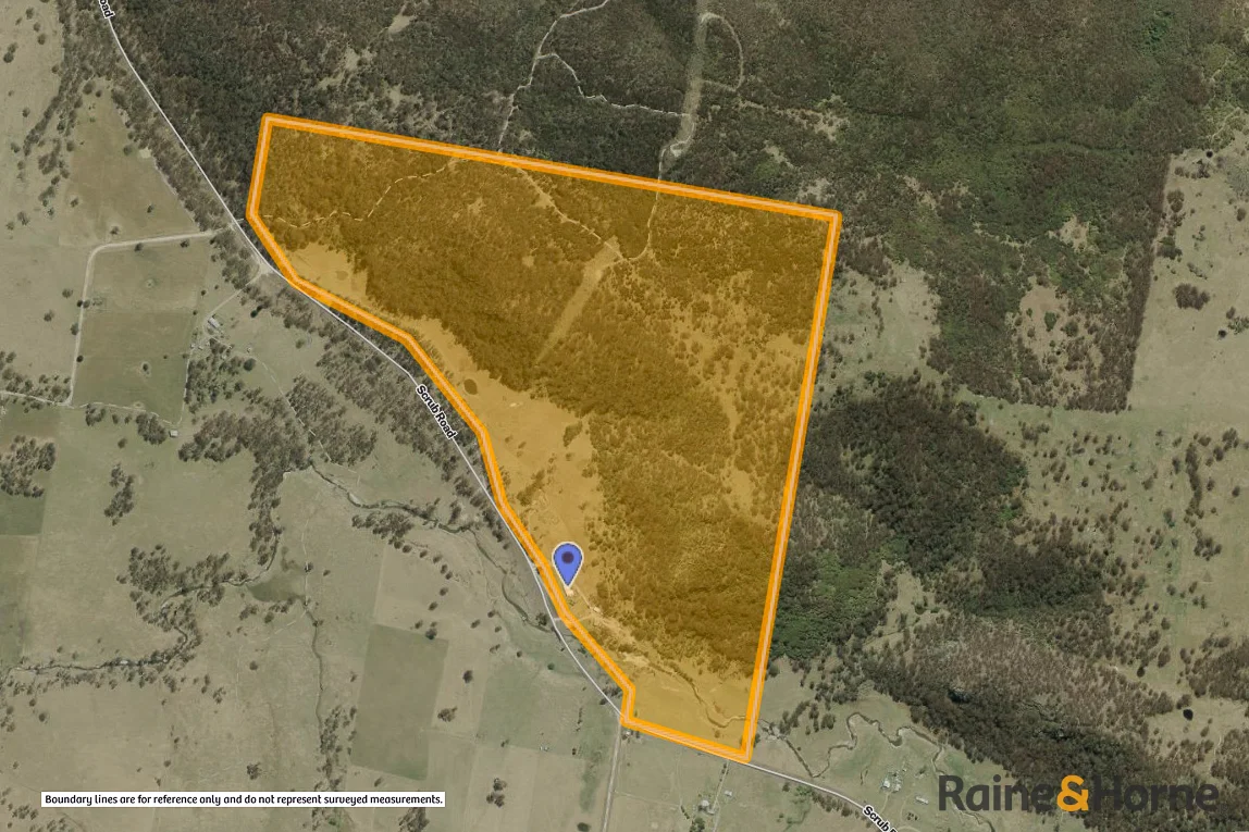 Additional image 5 of 353 Scrub Road, Tenterfield NSW 2372