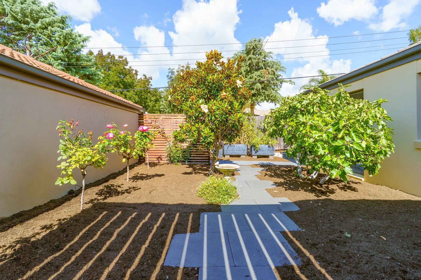 Additional image 10 of 3/59 Hodgson Crescent, Pearce ACT 2607