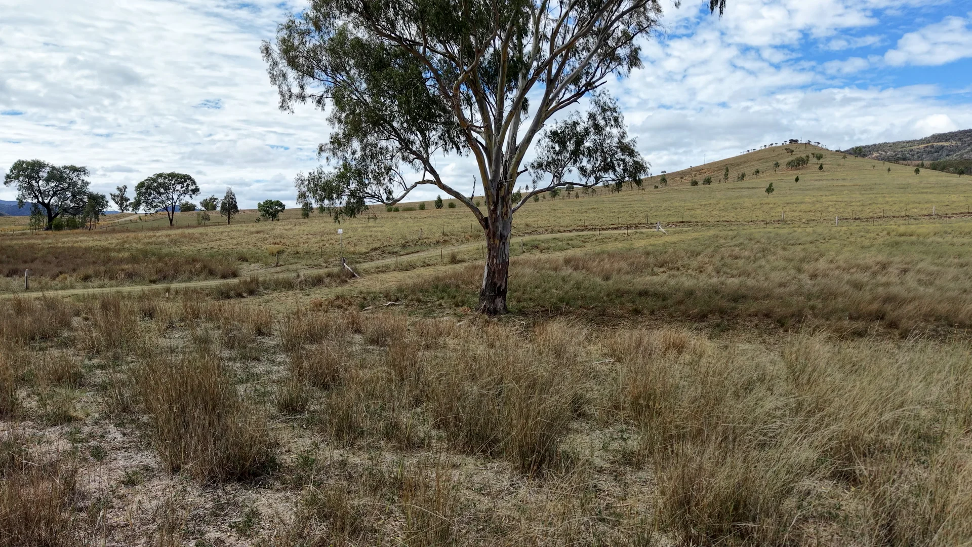 Additional image 10 of 1213 Mole River Road, Tenterfield NSW 2372