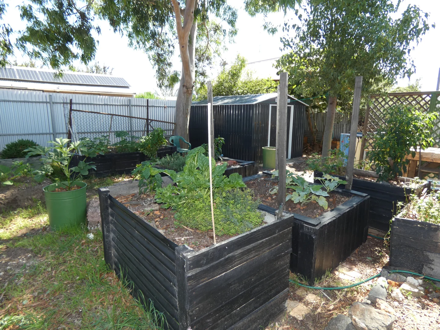 Additional image 17 of 16 McDonald Street, Murtoa VIC 3390