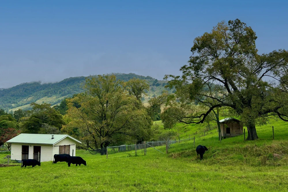 Additional image 19 of 1644 Paterson River Road, Lostock NSW 2311