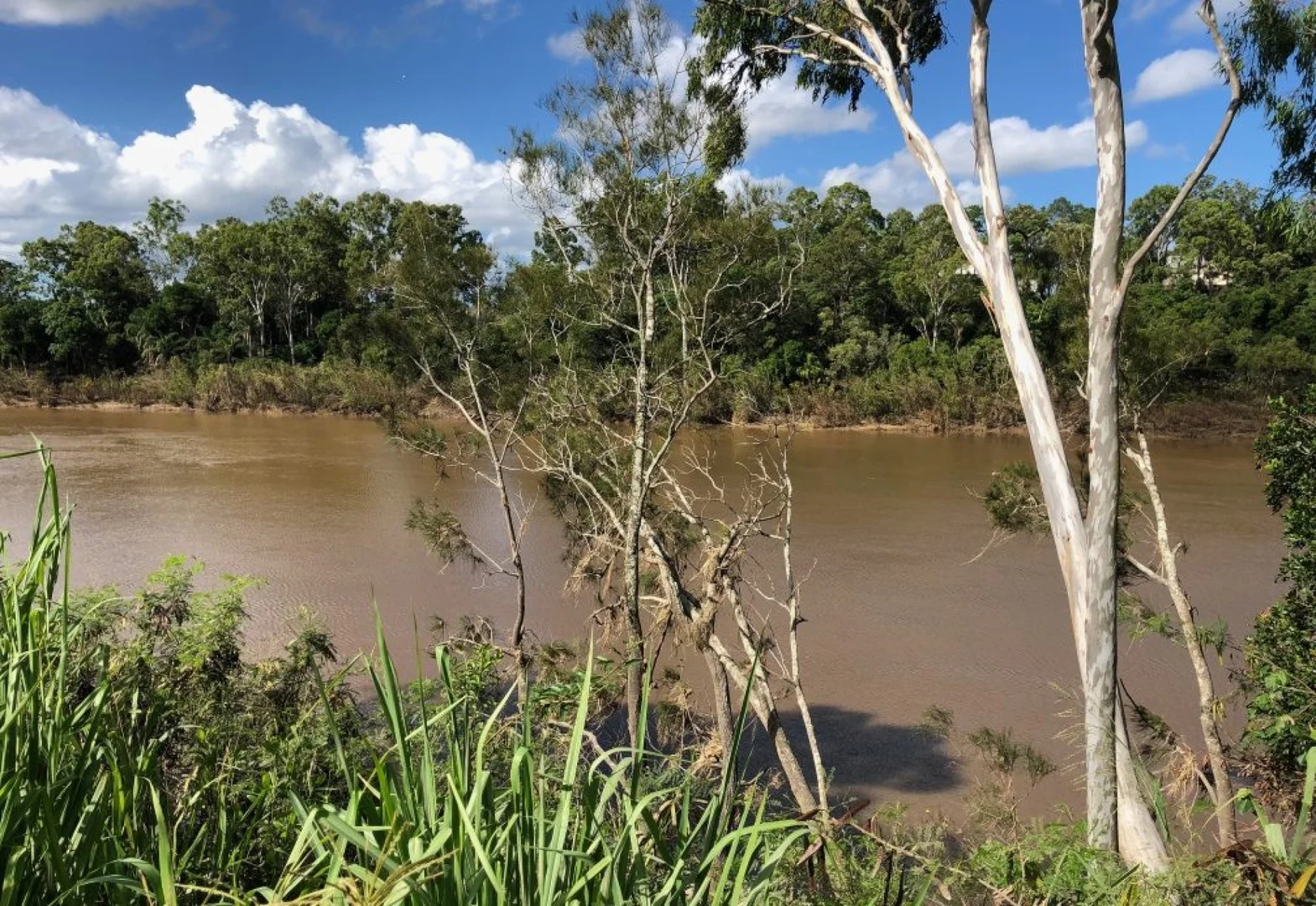 Additional image 7 of 77d Kent Street, Maryborough QLD 4650