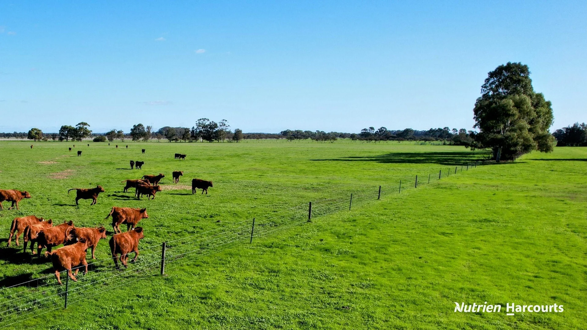 Additional image 10 of 271 Mayfield Road (Beermullah), Gingin WA 6503