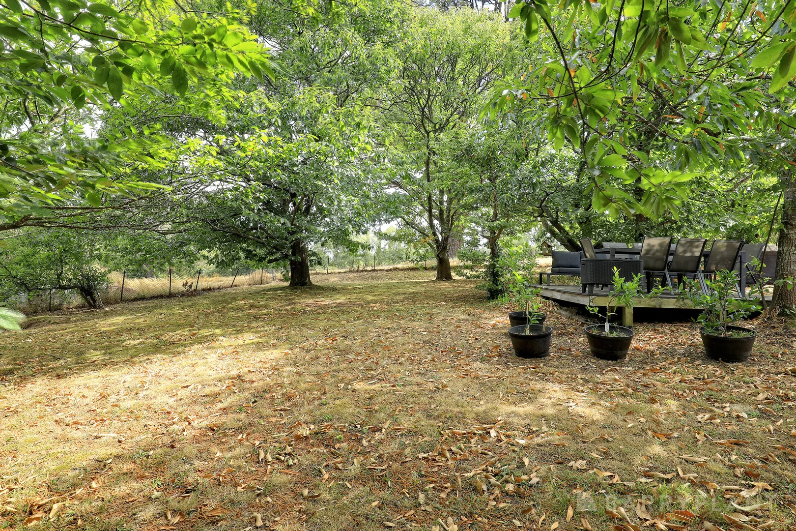 Additional image 5 of 29 Avon Road, Avonsleigh VIC 3782