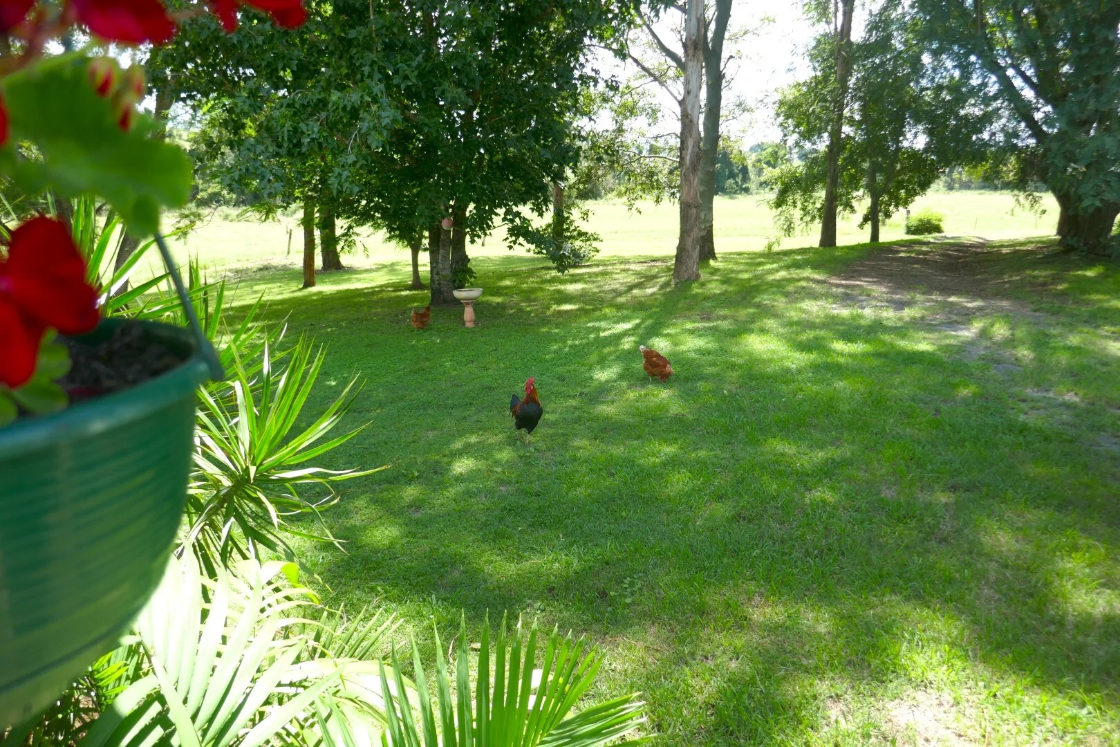 Additional image 3 of 495 Upper Stratheden Road, Kyogle NSW 2474