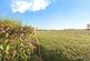Additional image 15 of Bull Close, East Tuddenham, Dereham, Norfolk, NR20
