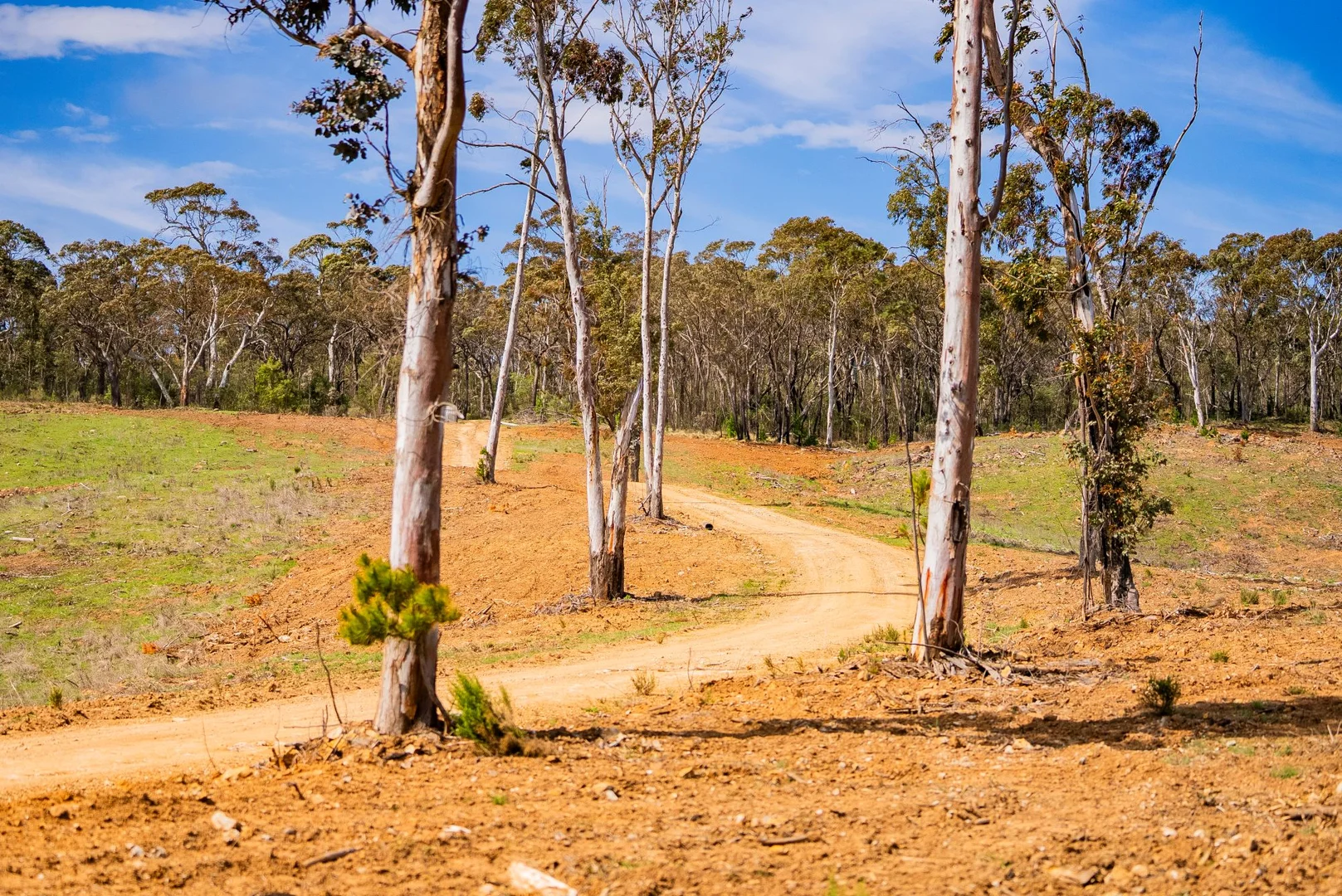 Additional image 11 of 1606 Mount Canobolas Road, Orange NSW, Orange NSW 2800