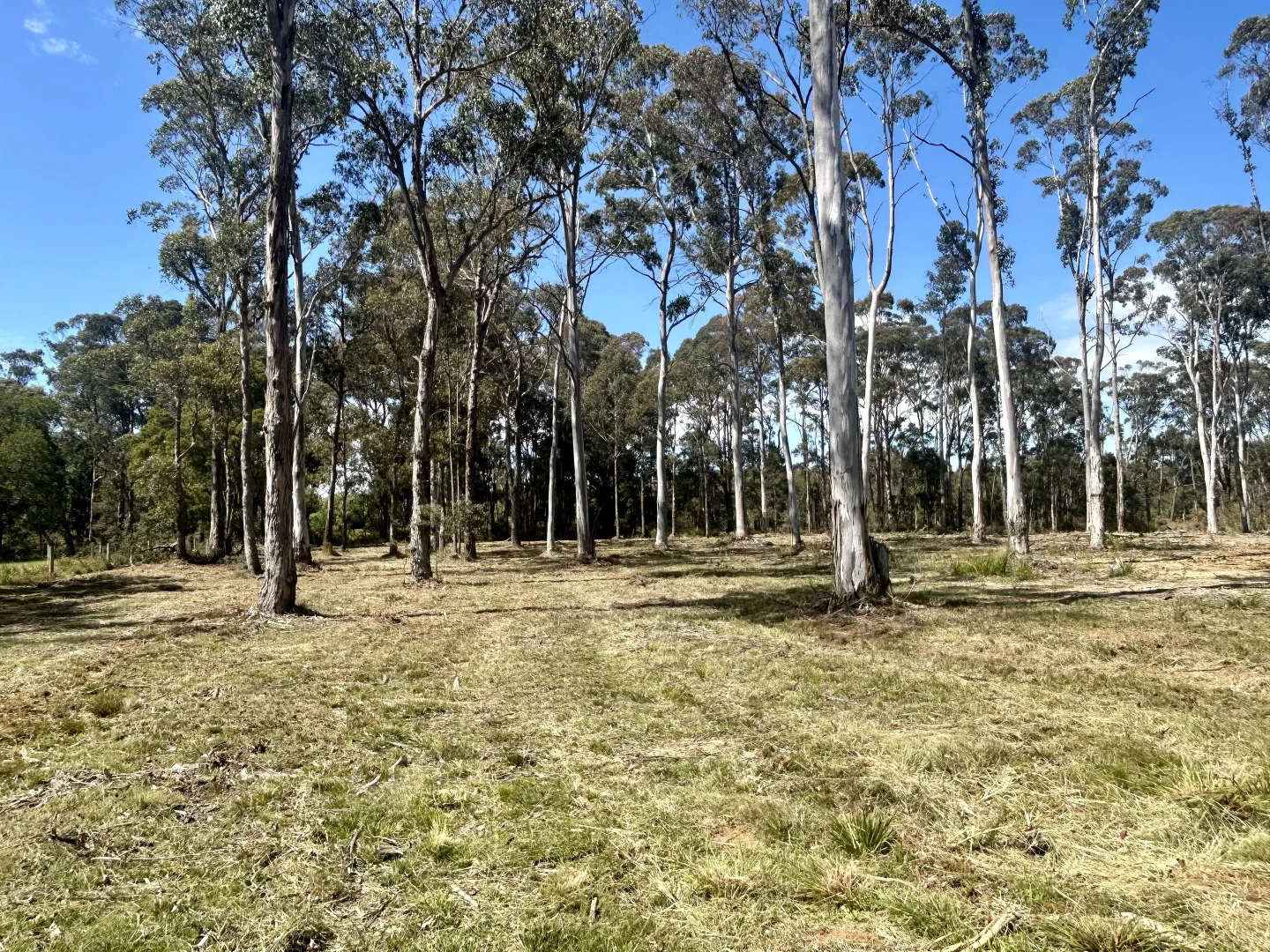 Additional image 4 of 175 Blighs Road, Trentham VIC 3458