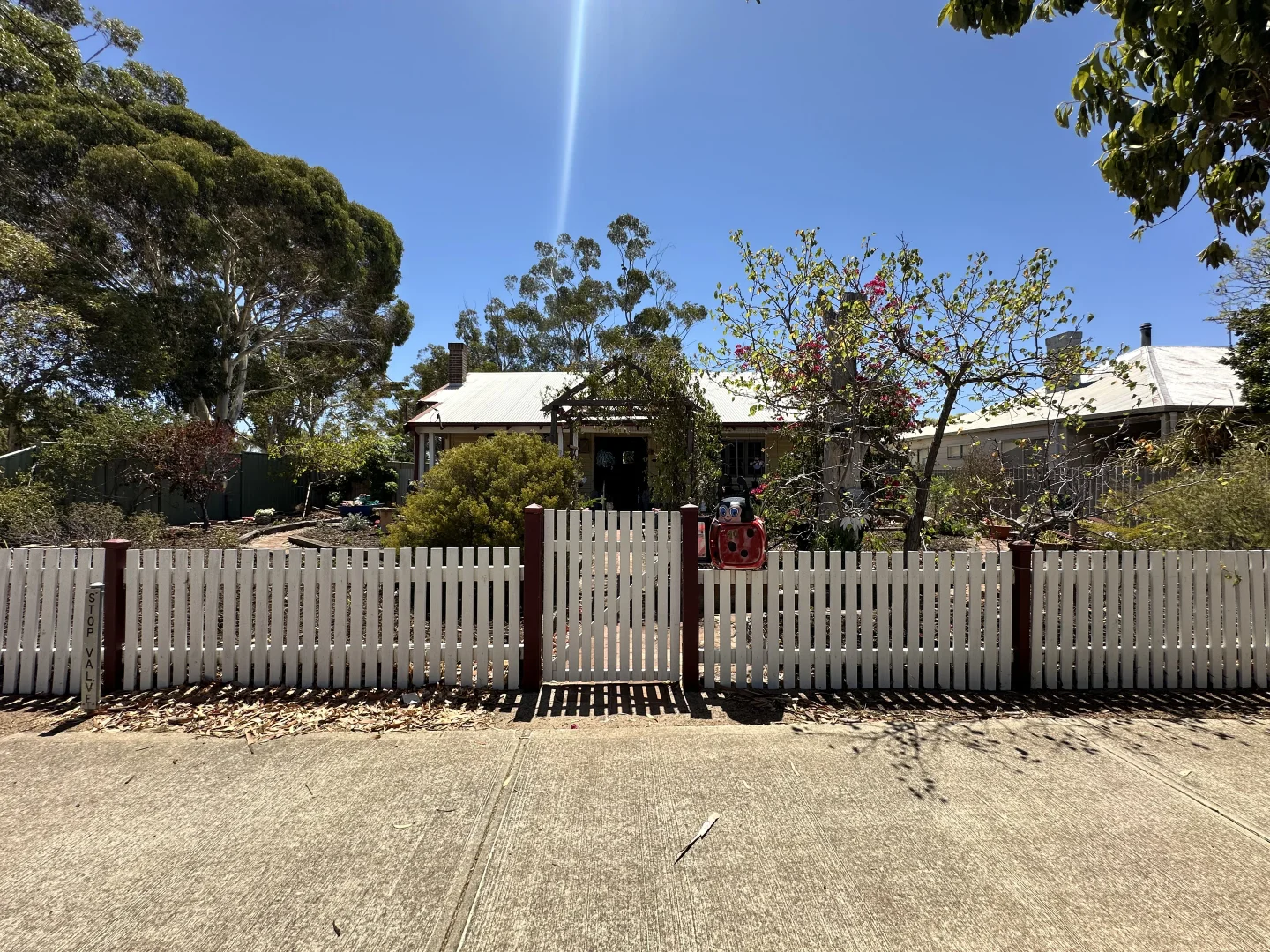 Additional image 3 of 40 Tavistock Street, Wagin WA 6315