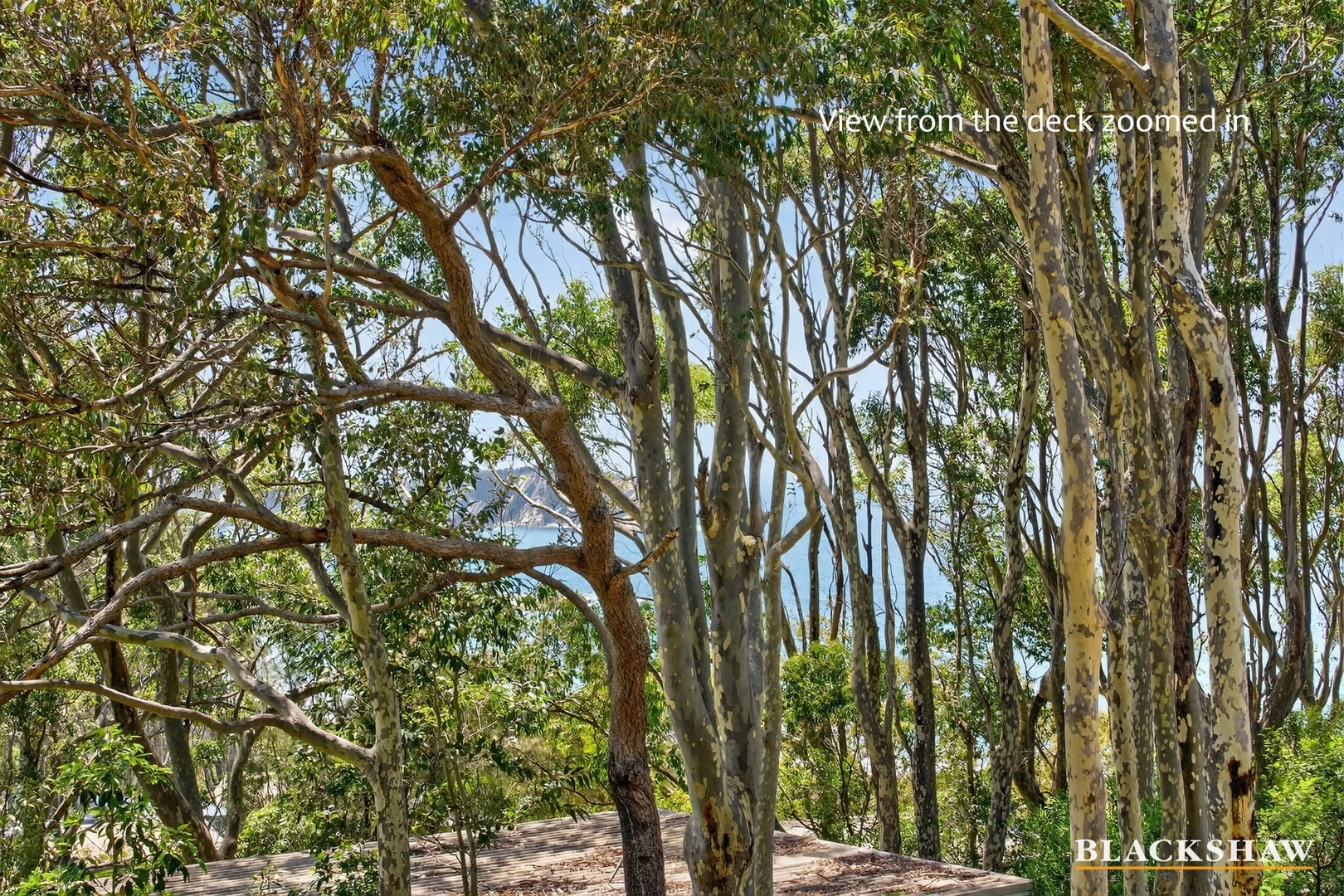 Additional image 13 of 3 Bower Place, Rosedale NSW 2536