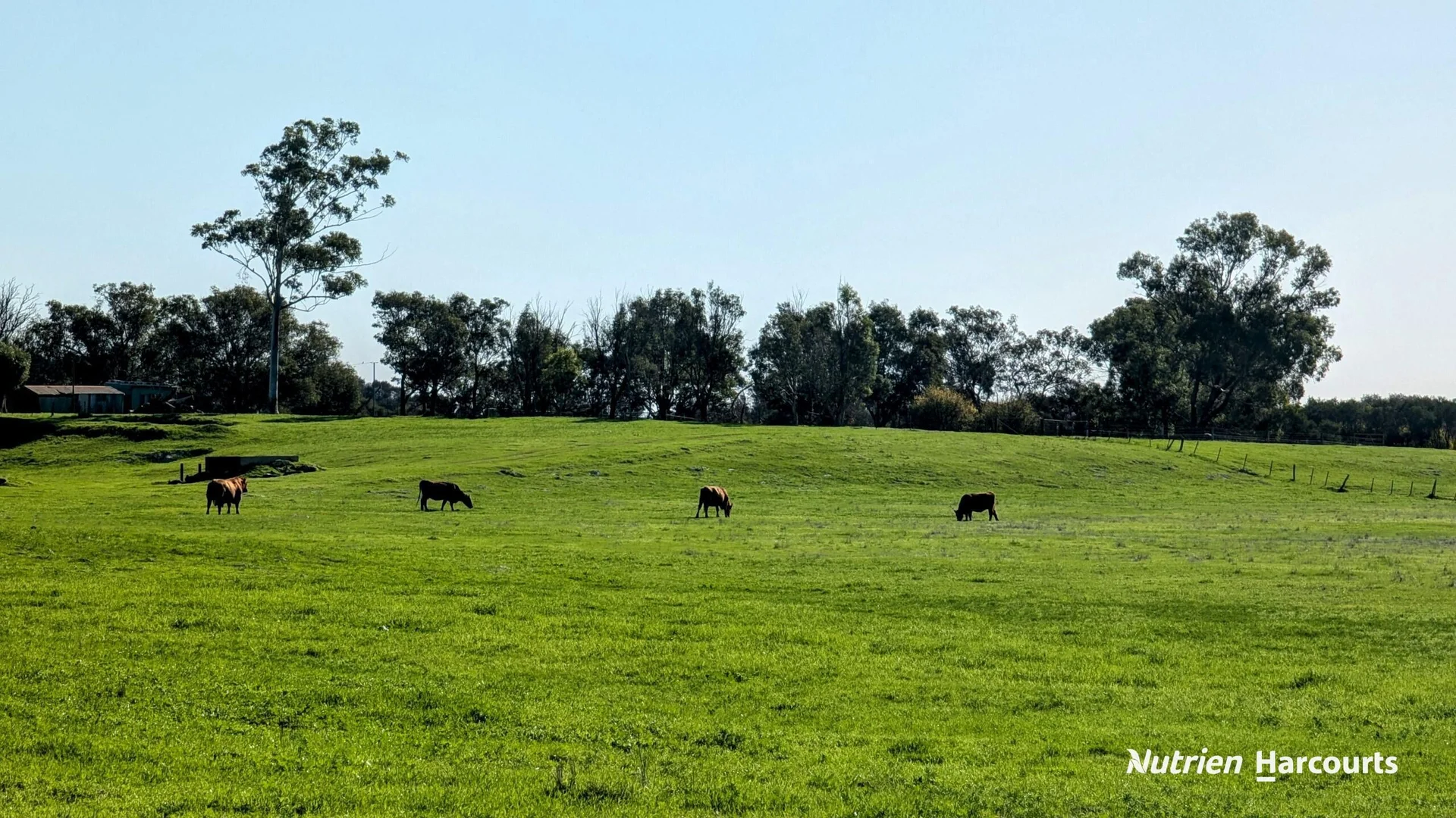 Additional image 6 of 271 Mayfield Road (Beermullah), Gingin WA 6503