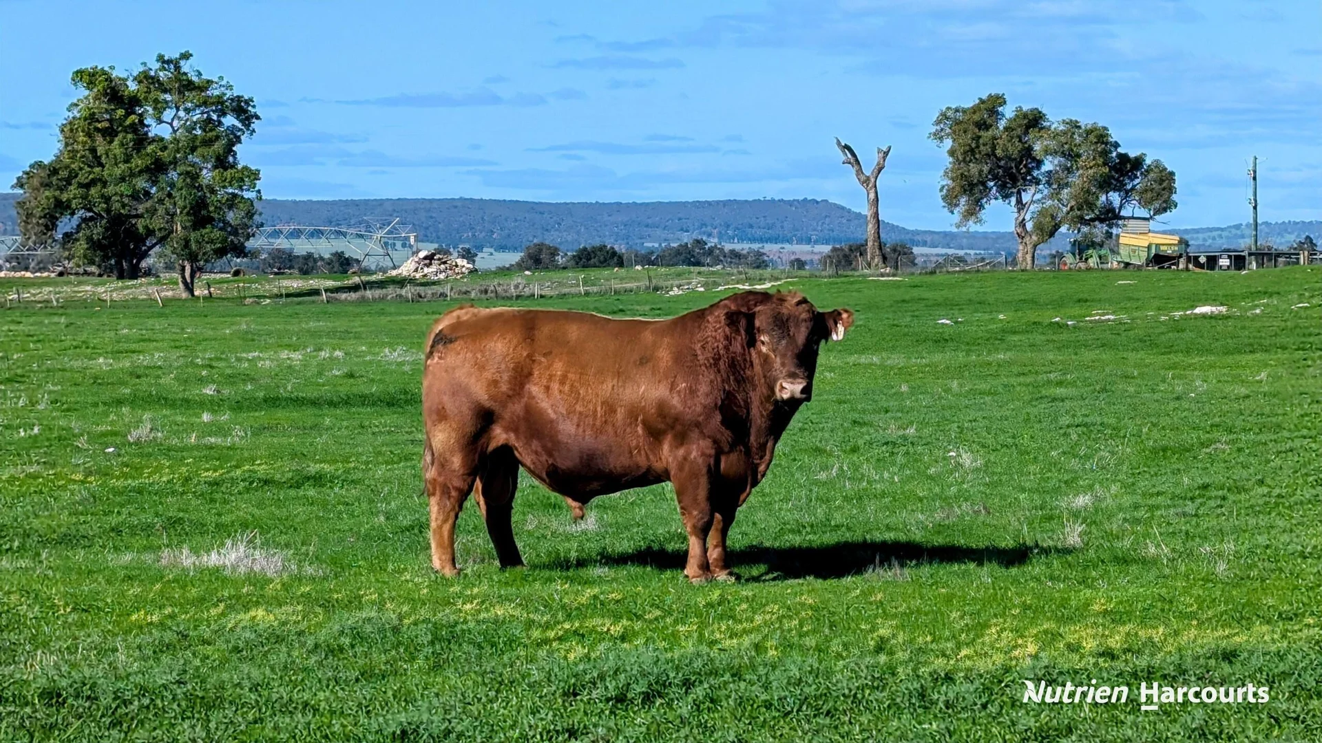 Additional image 21 of 271 Mayfield Road (Beermullah), Gingin WA 6503