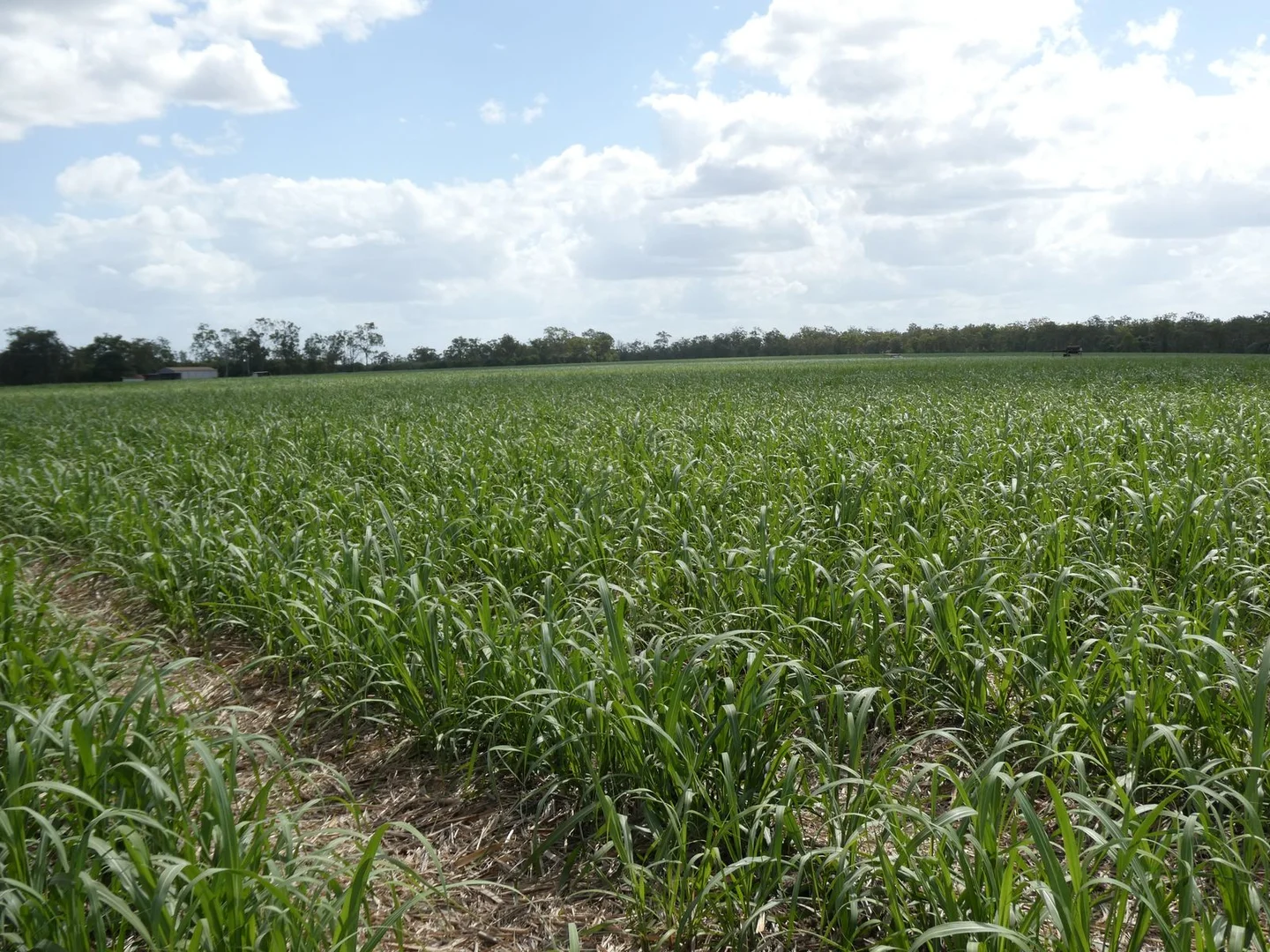 Additional image 21 of 3392 Childers Road, Gregory River QLD 4660