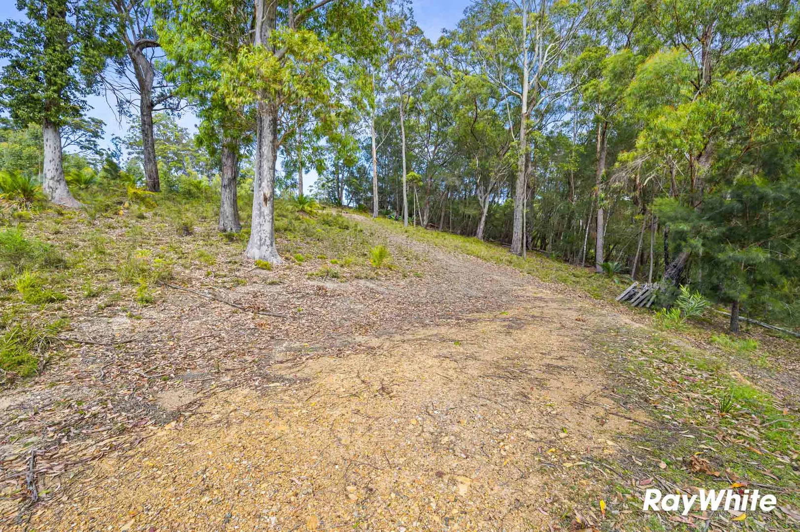 Additional image 5 of Lot 5 Sanctuary Forest Place, Long Beach NSW 2536