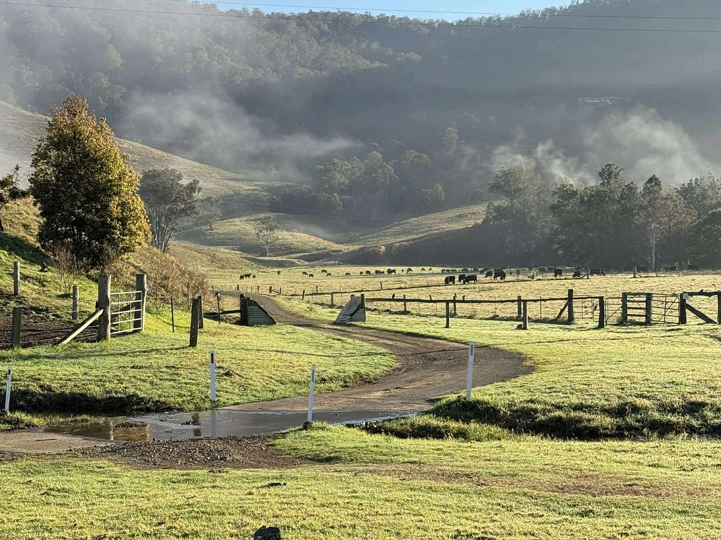 Additional image 49 of 689 Manchester Road, Via Gloucester, Bindera NSW 2422