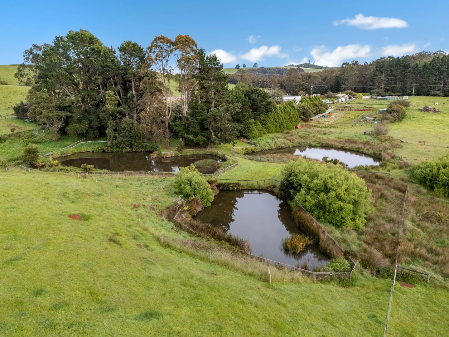 Additional image 40 of 309 West Ridgley Road, West Ridgley TAS 7321