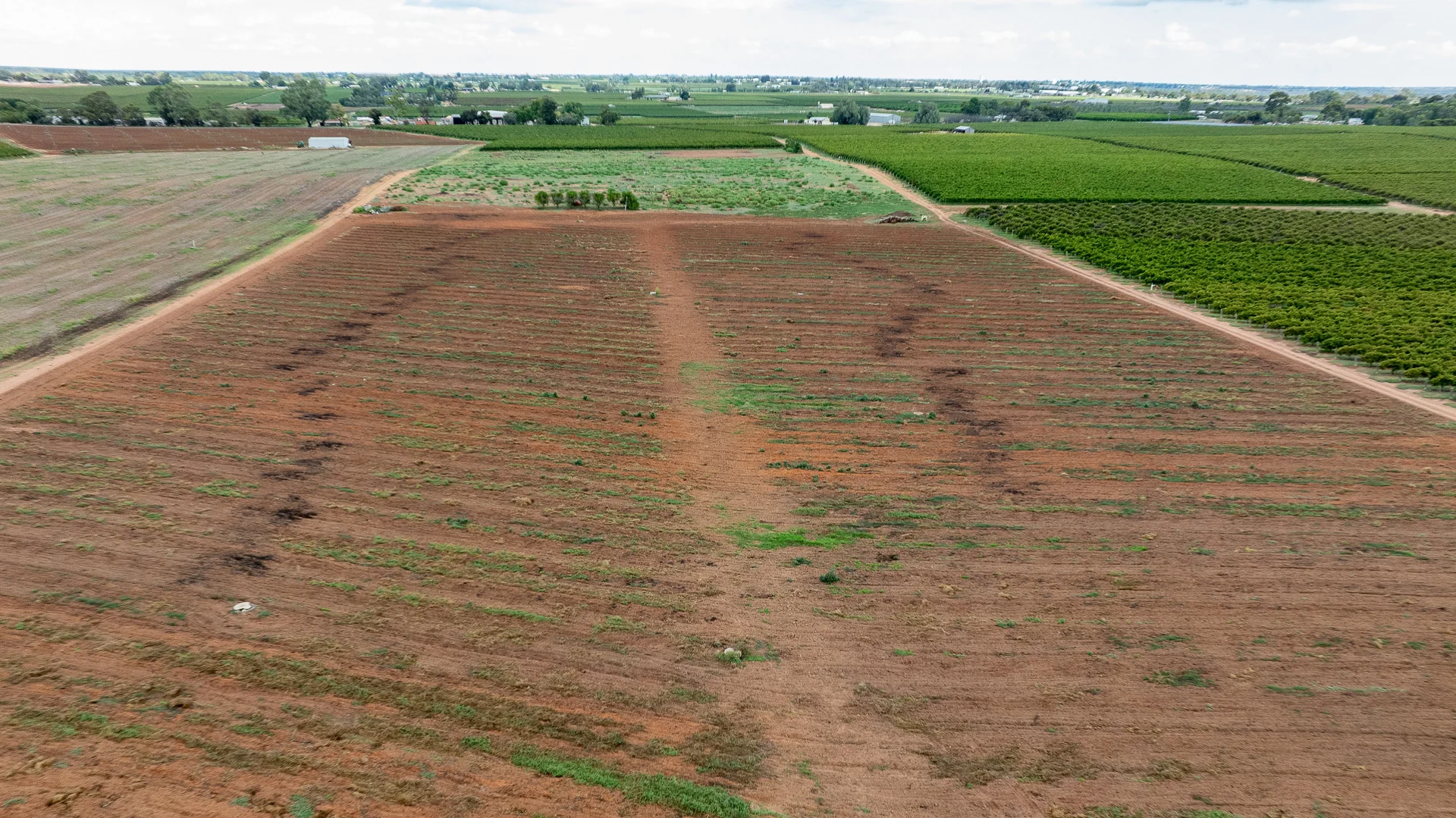 Additional image 3 of Lot 11 Anderson Road, Loxton SA 5333