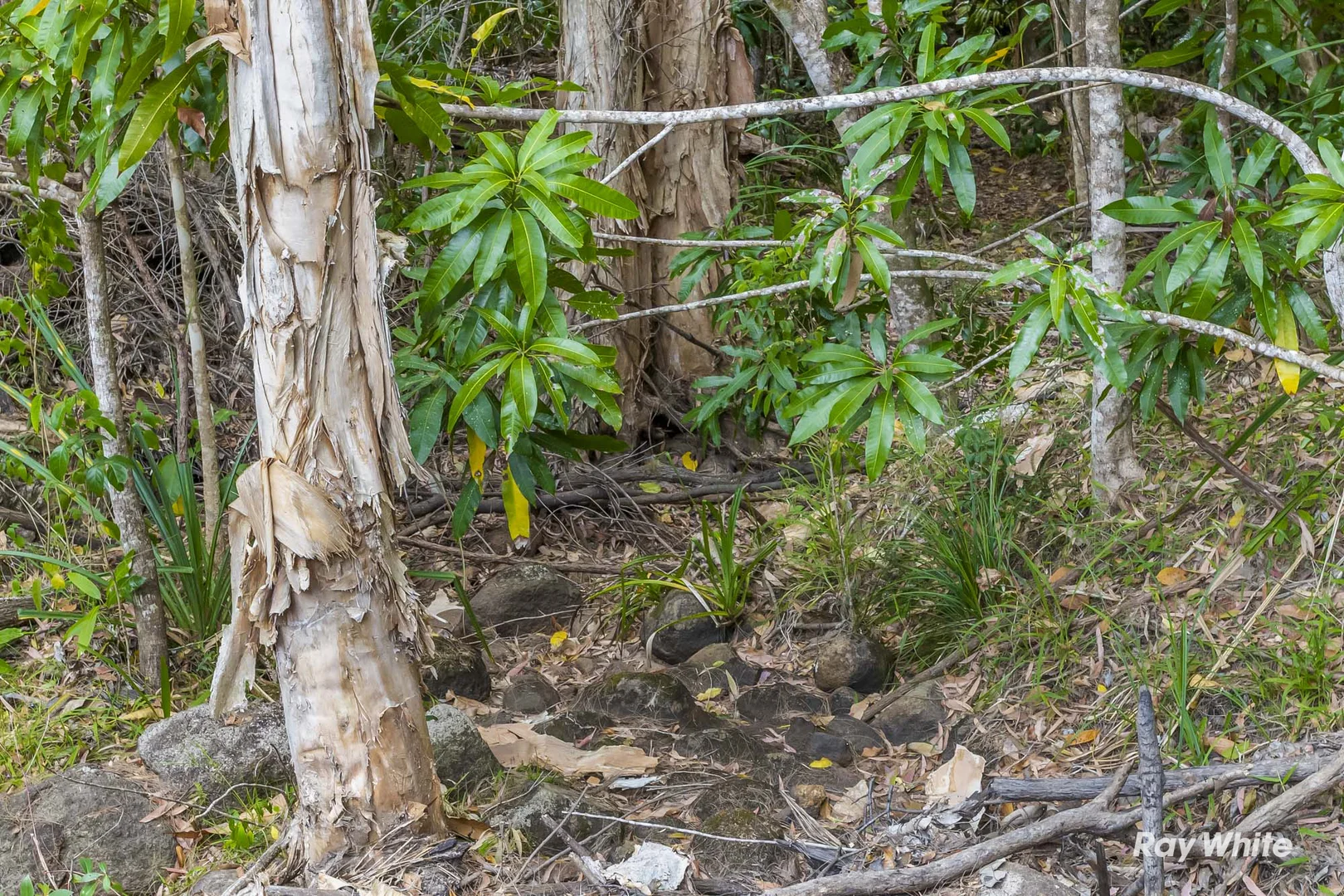 Additional image 21 of 2470 Byfield Road, Byfield QLD 4703