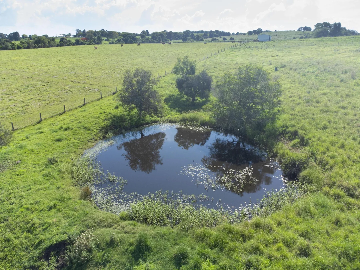 Additional image 25 of 219 Stanfield Rd, Teviotville QLD 4309