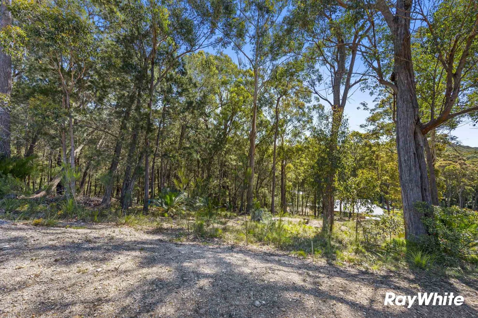Additional image 10 of Lot 5 Sanctuary Forest Place, Long Beach NSW 2536
