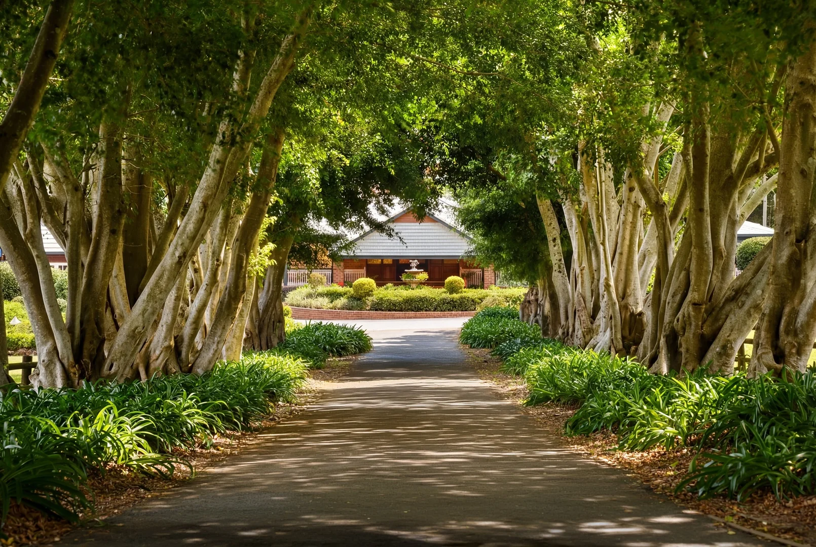 Additional image 2 of 105 Lanes Road, Wongawallan QLD 4210