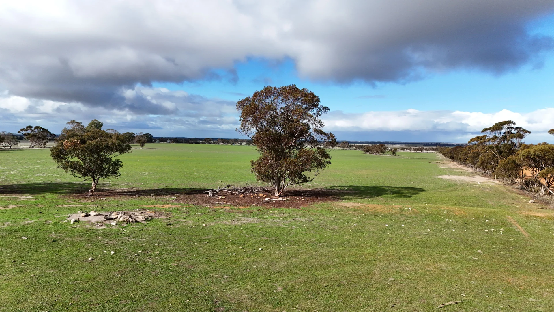 Additional image 5 of 3000 Rabbit Proof Fence Rd, Pingrup WA 6343