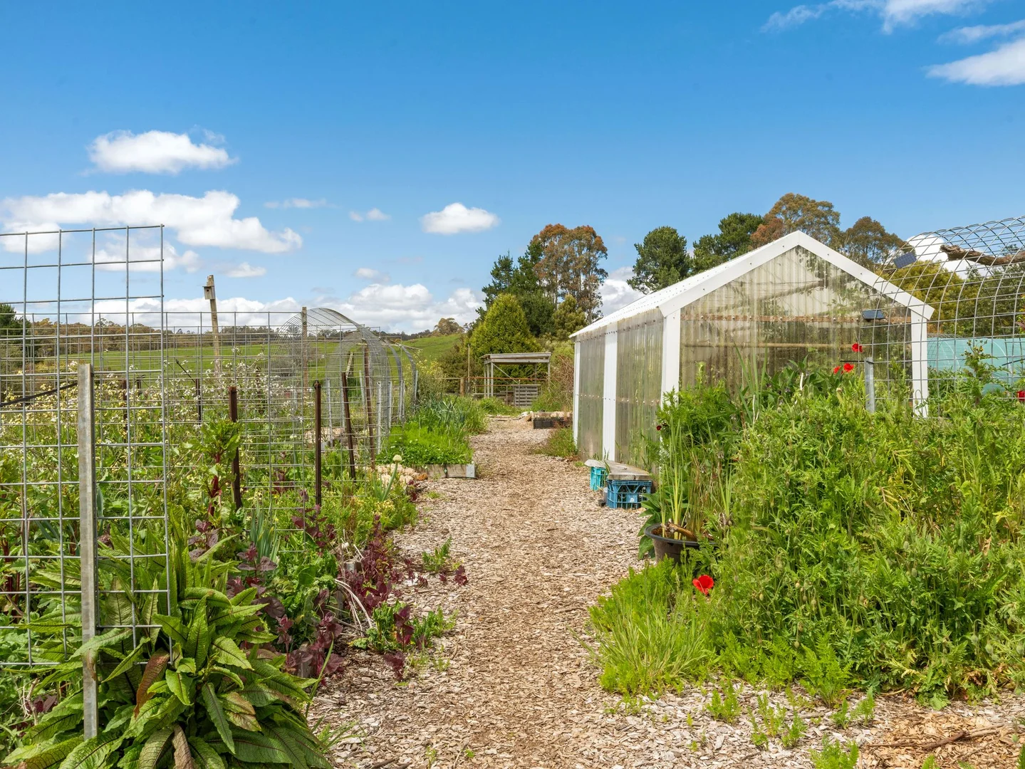 Additional image 27 of 309 West Ridgley Road, West Ridgley TAS 7321