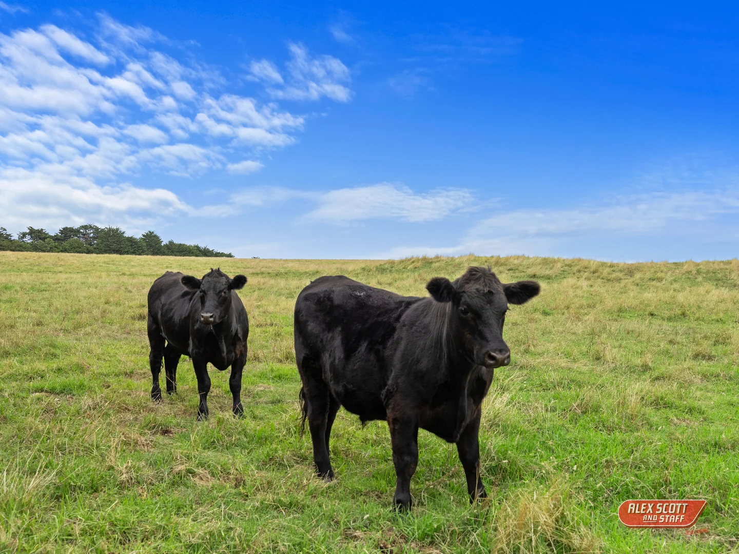 Additional image 12 of 1990 Phillip Island Road, Cowes VIC 3922