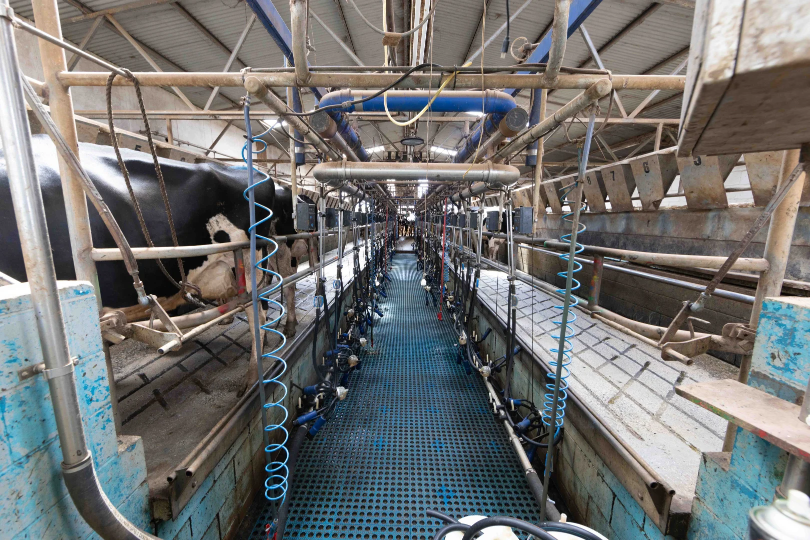 Additional image 8 of 99 Jocks Road, Forest TAS 7330