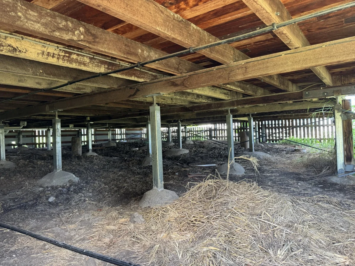 Additional image 15 of 1 Morse Street, Monto QLD 4630