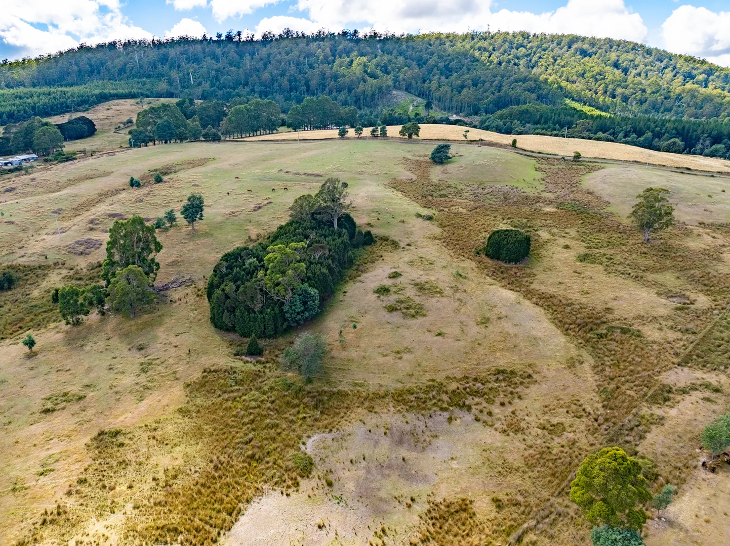 Additional image 7 of Lot 1 Holwell Road, Frankford TAS 7275