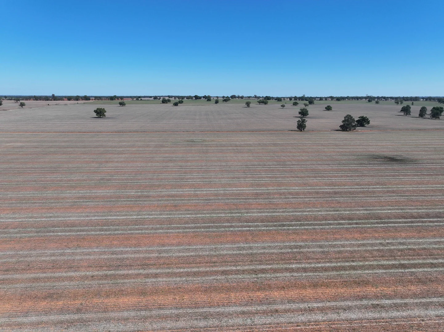 Additional image 4 of Shannonvale & Elmore Strontian Road, Boree Creek NSW 2652