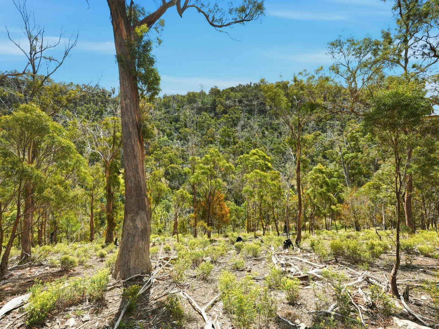 Additional image 6 of 608 Cockatoo Gully Road, Elderslie TAS 7030