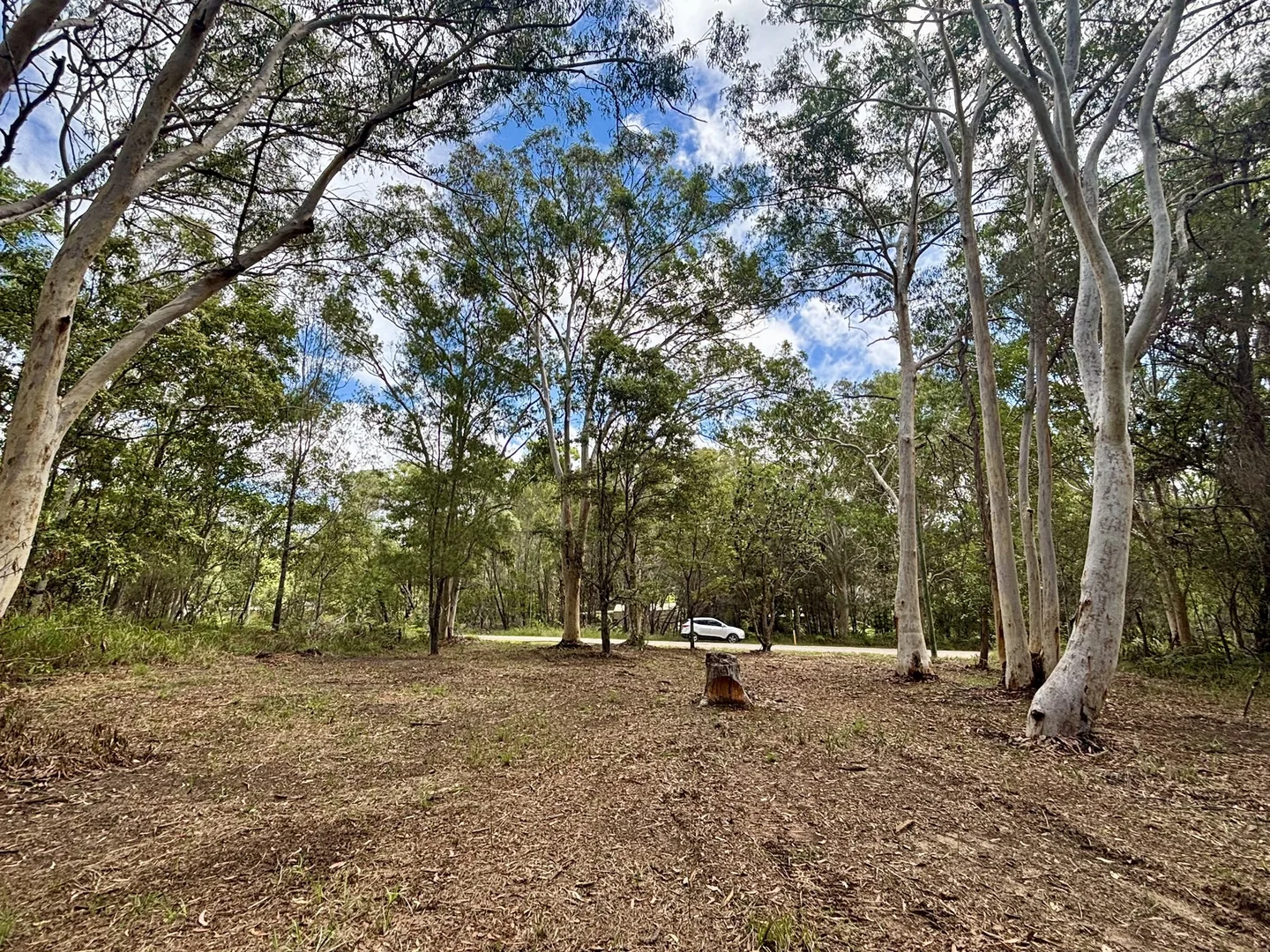 Additional image 3 of 49 Canaipa Ridge Road, Russell Island QLD 4184