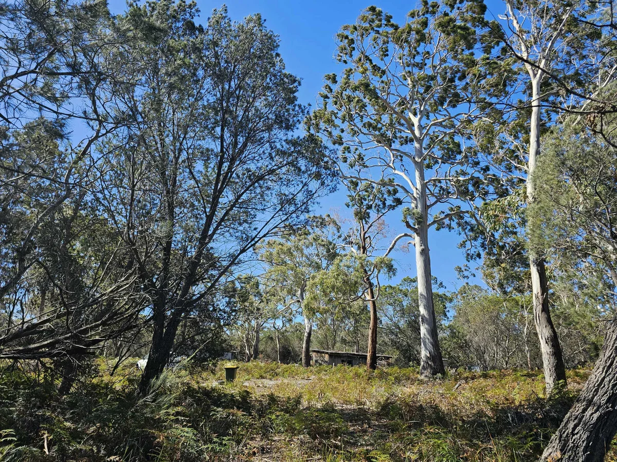 Additional image 8 of 1434 Coles Bay Road, Coles Bay TAS 7215