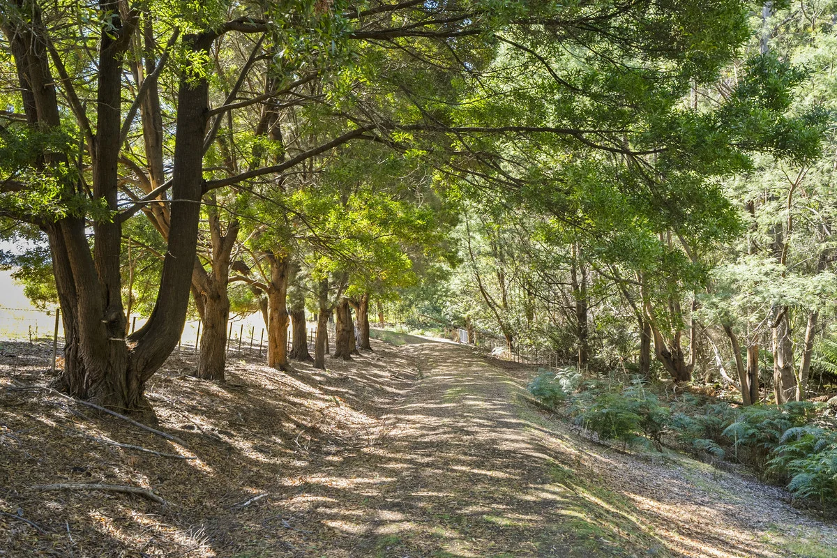 Additional image 10 of 44 Coppings Road & 729 Nubeena Road, Premaydena TAS 7185