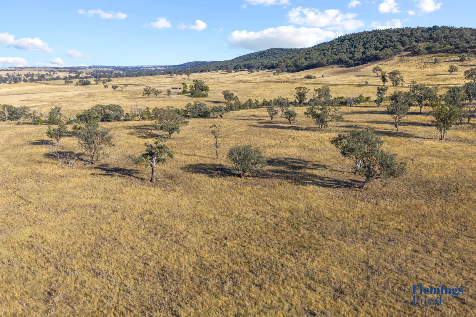 Additional image 10 of 145 Cusack Road, Boorowa NSW 2586