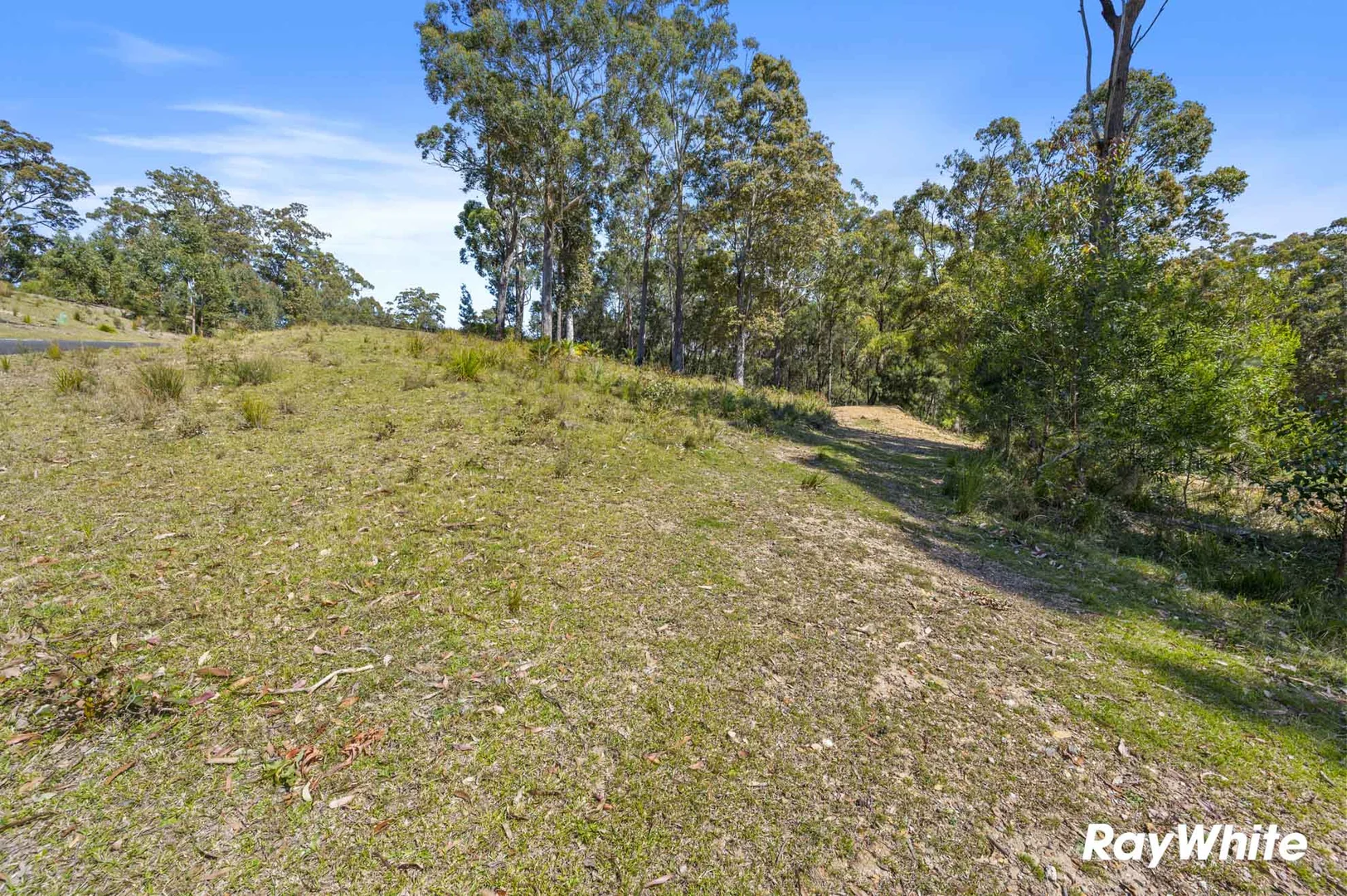Additional image 6 of Lot 5 Sanctuary Forest Place, Long Beach NSW 2536