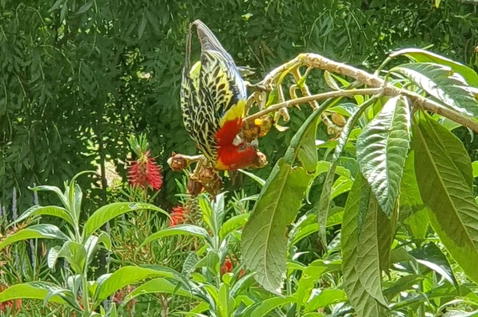 Additional image 21 of 6 Tantalla Street, Wedderburn VIC 3518