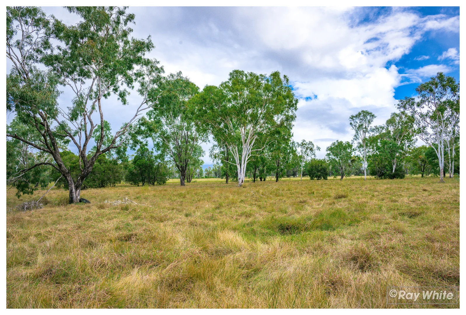 Additional image 6 of 253 Hunt Road, Alton Downs QLD 4702