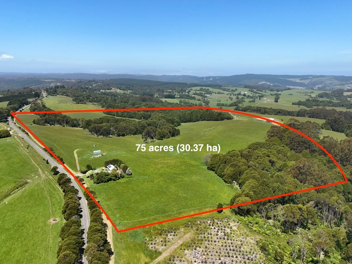 Additional image 25 of 125 Beech Forest - Lavers Hill Road, Beech Forest VIC 3237