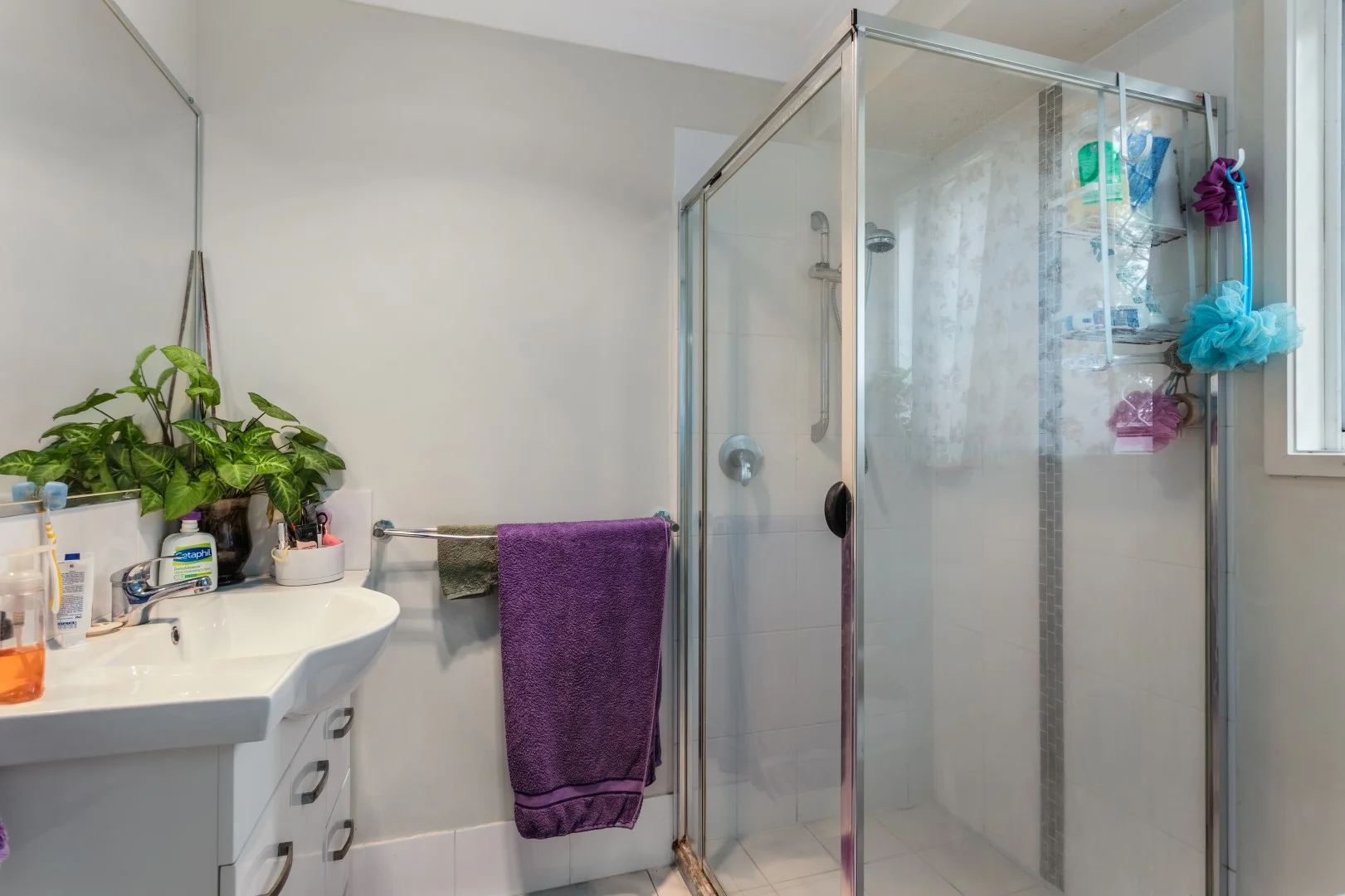 Additional image 10 of 23 Chubb Street, One Mile QLD 4305