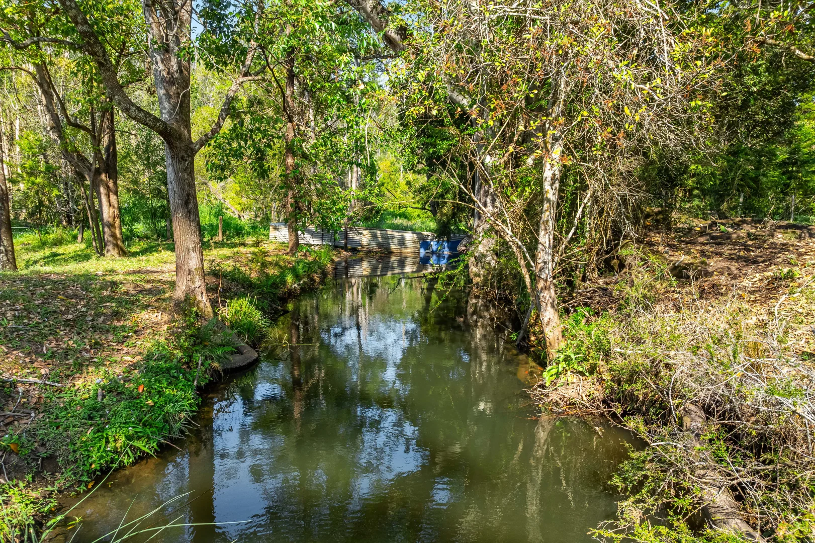 Additional image 11 of 300 Quilty Road, Rock Valley NSW 2480