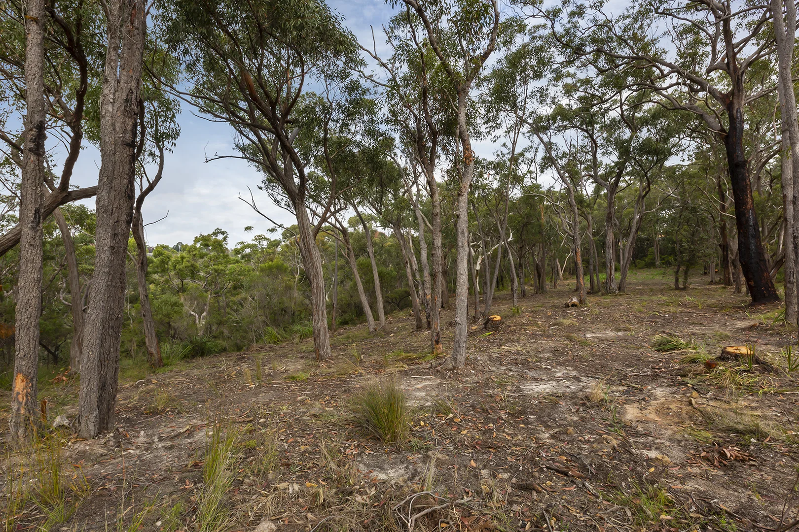 Additional image 5 of 41A Mount View Avenue, Hazelbrook NSW 2779