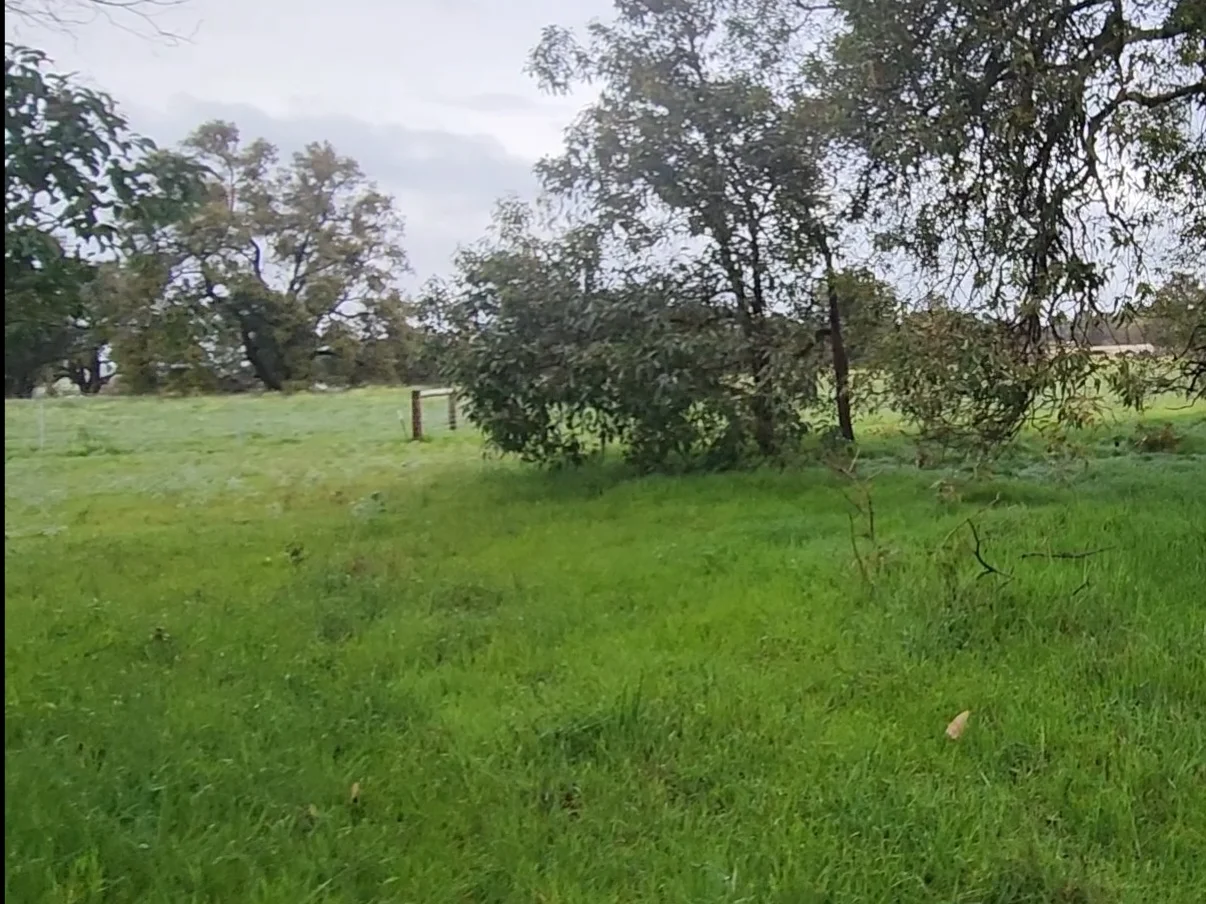 Additional image 3 of Lot 159 Chuditch Place, Ginginup WA 6503